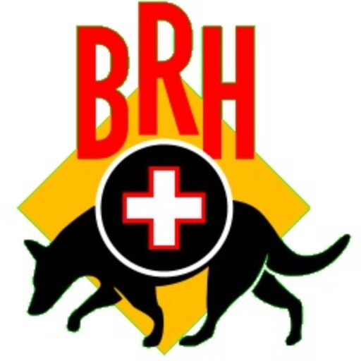 cropped-brh_icon.jpeg